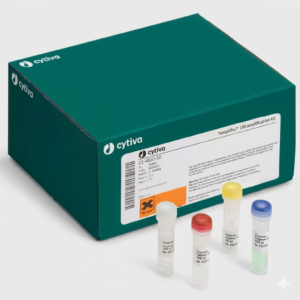 DNA Amplification kit
