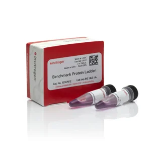 Protein Molecular Weight Marker