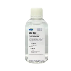 TAE Buffer , 10X