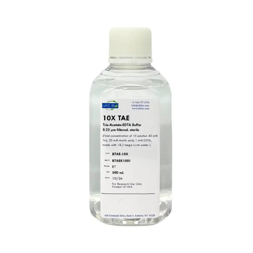 TAE Buffer , 10X