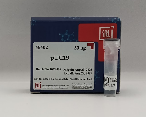 pUC 18 DNA / pUC 19 DNA