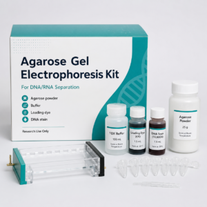 Agarose gel Electrophoresis kit