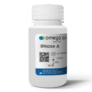 RNase A