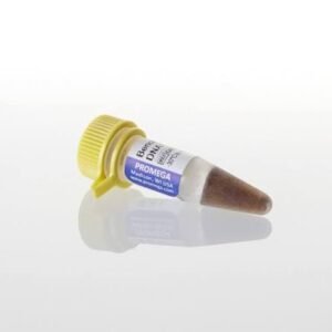 DNA Markers