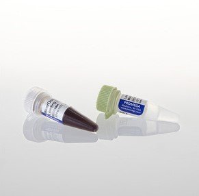 Lambda DNA/HindIII Marker
