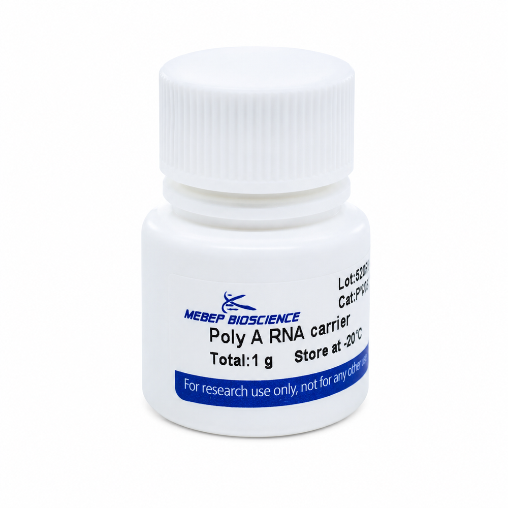 ELECTRO - TRANSFER (BLOTTING) SYSTEM Midiblot, ready-to-use system